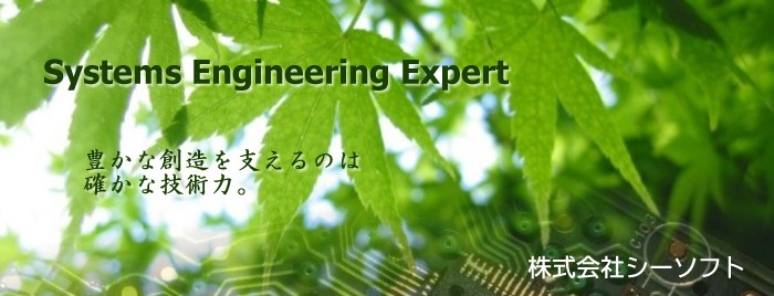 Systems Engineering Expert Lȑzx̂͊mȋZṕBЃV[\tg